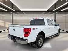 2023 Ford F-150 XLT 4WD SuperCrew 5.5' Box - Photo 4