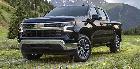 2025 Chevrolet Silverado 1500 4WD Crew Cab 147' Custom Trail Bos