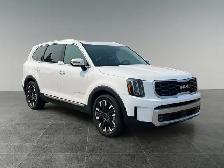 2025 Kia Telluride SX Limited - Photo 9