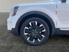 2025 Kia Telluride SX Limited - Photo 11