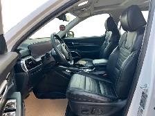 2025 Kia Telluride SX Limited - Photo 12
