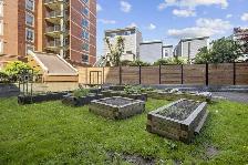 The Macdonald - Bachelor available at 5885 Cunard Street, Halifa - Photo 19