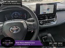 2026 Toyota Corolla RENTAL UNIT - Photo 6