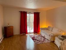 3½ à 950$, eau chaude et chauffage inclus, Sherbrooke Est - Photo 2