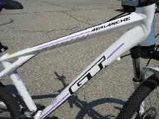 GT – Avalanche 27 Speed, Disk Brakes (Like New) - Photo 2