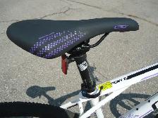 GT – Avalanche 27 Speed, Disk Brakes (Like New) - Photo 4