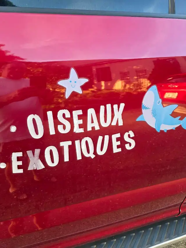 speciaux du 28 au 30 août sur pinsons perruches tourterelles