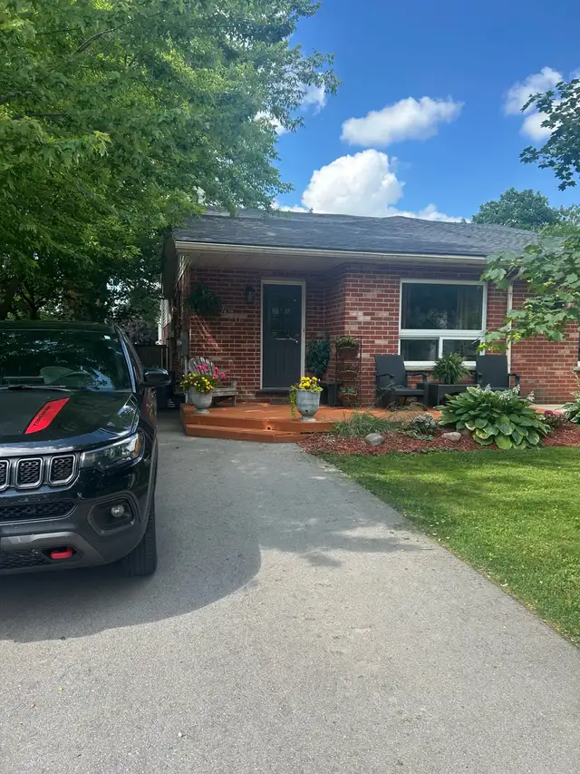 Large finished basement for rent