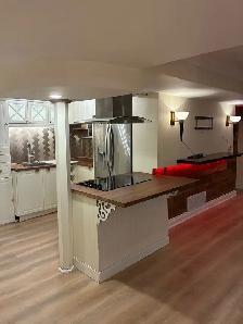 1-Bedroom Walk-Out Basement – Maple-Vaughan - Photo 2