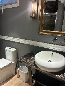 1-Bedroom Walk-Out Basement – Maple-Vaughan - Photo 3