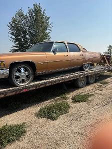 Fleetwood Cadillac - Photo 3