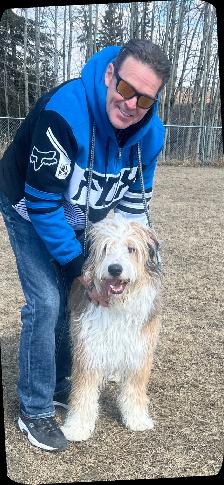 NEED of the BREED. - Photo 3