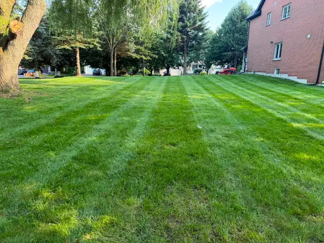 Lawn maintenance crew members needed