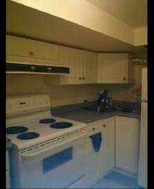 Safe&Cozy BsmtROOMS w/Private Washroom closeTTC - Photo 4