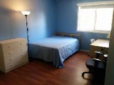 PRIVATE ROOM... STUDENT or EMPLOYED... ALGONQUIN...BAYSHORE - Photo 3