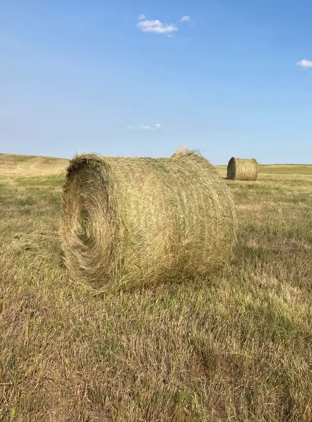 Round Hay Bales