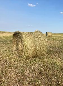 Round Hay Bales