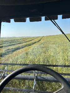Round Hay Bales - Photo 2