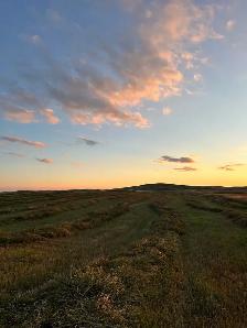 Round Hay Bales - Photo 3