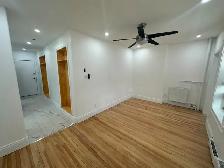 Renovated 1-bedroom unit in Centretown- Available November 1st!