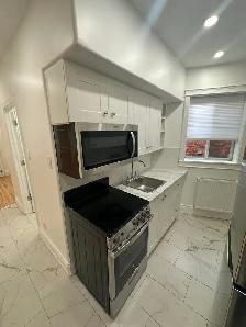Renovated 1-bedroom unit in Centretown- Available November 1st! - Photo 3