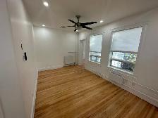Renovated 1-bedroom unit in Centretown- Available November 1st! - Photo 5