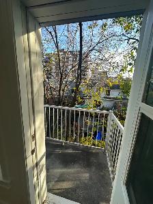 Renovated 1-bedroom unit in Centretown- Available November 1st! - Photo 8