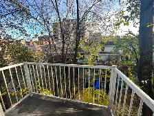 Renovated 1-bedroom unit in Centretown- Available November 1st! - Photo 9