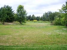 GREENWOOD B&B AJAX - HOME AWAY FROM HOME - MONTHLY ONLY - Photo 9