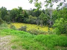 GREENWOOD B&B AJAX - HOME AWAY FROM HOME - MONTHLY ONLY - Photo 10