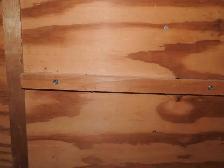 7 x 16 Avenger Enclosed AluminumTrailer (2003) over 15  Upgrades - Photo 9