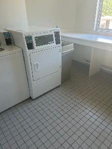 cleaning service/painting /mudding - Photo 2