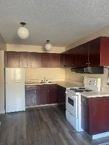 FOR RENT 1 bd apartment - 11916-105 St  Edmonton, AB