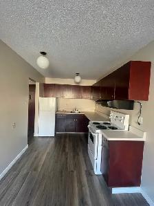 FOR RENT 1 bd apartment - 11916-105 St  Edmonton, AB - Photo 2