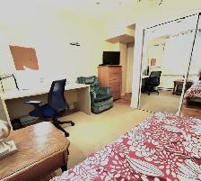 Avail Oct.1st Furn room All incl Halifax All utilities Incl. - Photo 2