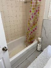2 Separate Female room for rent,$750 & $800 utilities included - Photo 5