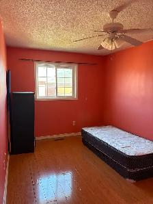 ROOM FOR RENT – BRAMPTON (KENNEDY & BOVAIRD)