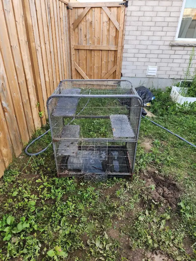 BIG BIRD OR PIGEON CAGE FOR SALE