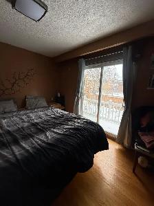MASTER BEDROOM ( UPPER FLOOR) FIR RENT IN MALTON - Photo 4