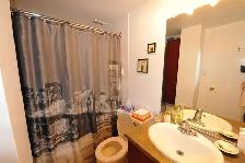 3 1/2 - 4 1/2 SILLERY PLAZA - PROMENADE CHAMPLAIN - Photo 18