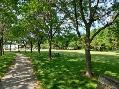 2Bedroom Apartment in Goderich - Suncoast Village - Photo 12