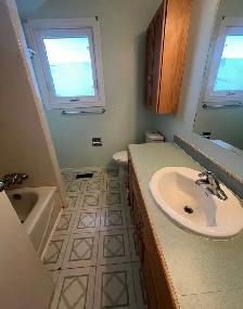 Aesthetically Updated 3 Bedroom Corner-Lot Home in Mill Woods - Photo 4