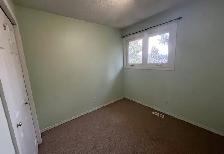 Aesthetically Updated 3 Bedroom Corner-Lot Home in Mill Woods - Photo 7