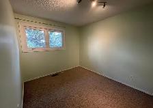 Aesthetically Updated 3 Bedroom Corner-Lot Home in Mill Woods - Photo 8