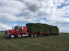 Looking for drivers - Photo 7