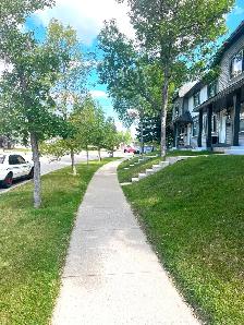 Spacious 3 bedroom townhouse in Woodbine - Photo 2