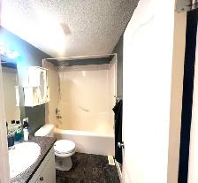Spacious 3 bedroom townhouse in Woodbine - Photo 10