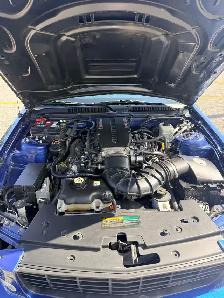 Mustang Saleen S 281 - Photo 5
