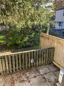 Spacious Room for Rent - Photo 2