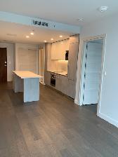 Condo de luxe 3 1/2 À LOUER /Luxury Condo for Rent at YUL 2 - Photo 3
